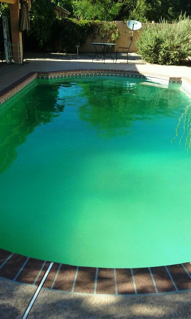 Sparkling Oasis Pool and Spa Service_green pool in Phoenix 2