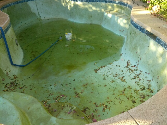 Acid wash pool in Surprise AZ Sparkling Oasis Pool 2